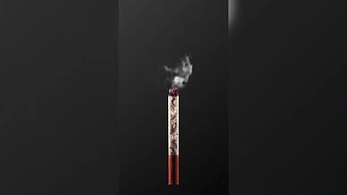 世界无烟日禁烟主题视频海报视频的预览图